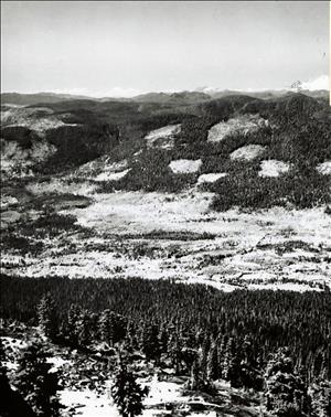 A forested mountainside with bare spots in a checkerboard pattern.